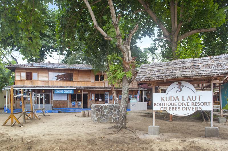 Celebes Divers indonesia offerta viaggio