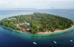 kuda laut boutique resortdive