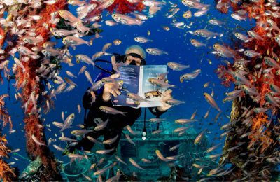 libro nascita subacquea mar rosso