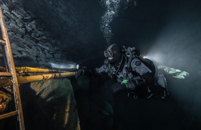 mares nuttlar muta stagna