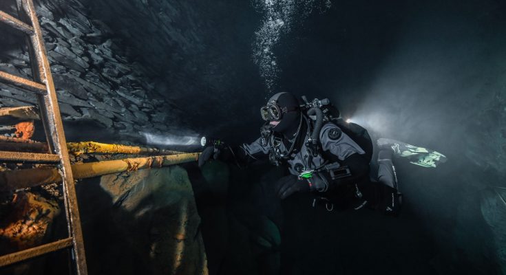 mares nuttlar muta stagna