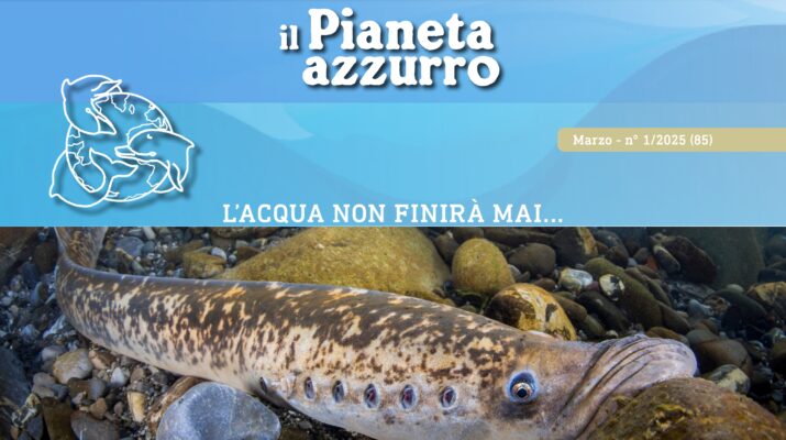 pianeta azzurro acqua non finira marzo 2025