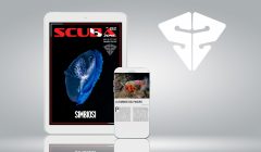 scubazone 82 online