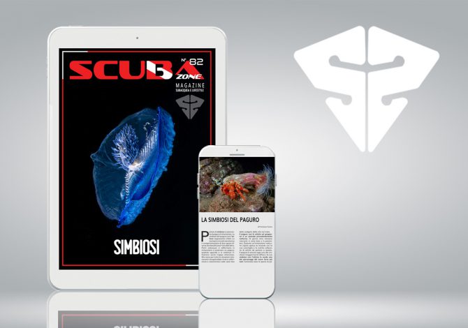 scubazone 82 online