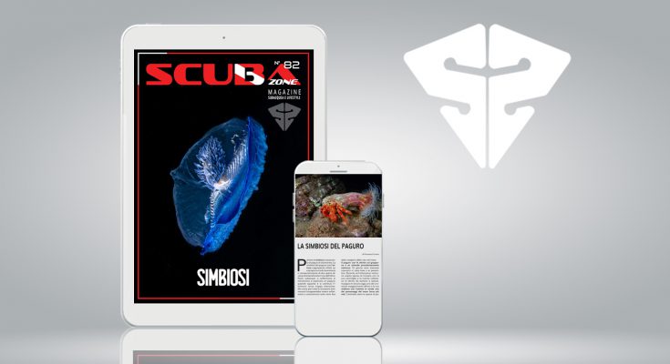 scubazone 82 online