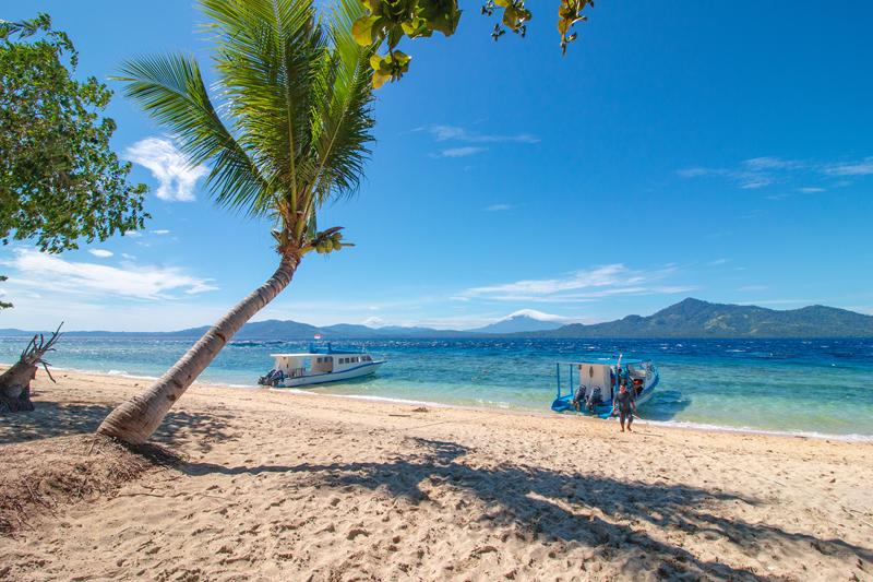 sulawesi kuda laut indonesia offerta viaggio sub