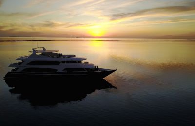 albatros top boat black friday offerta