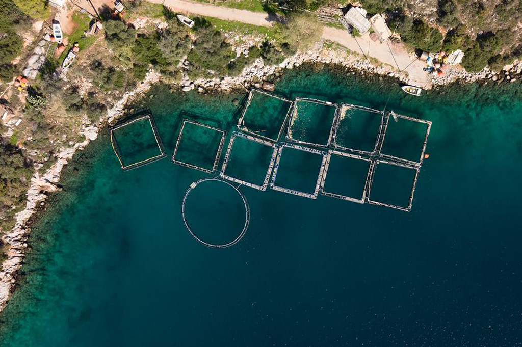 Golfo Saronico Prima dell'operazione di pulizia