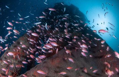 ghost gear genova carabinieri