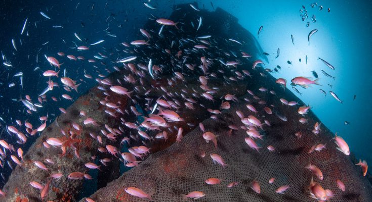 ghost gear genova carabinieri