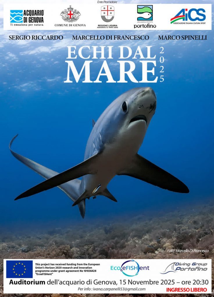 Locandina Echi dal mare 2025