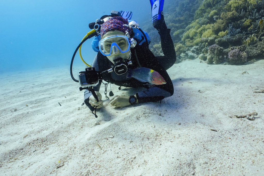 subacqueo Ocenara osserva un tordo scacchiera sul fondo sabbioso del Mar Rosso