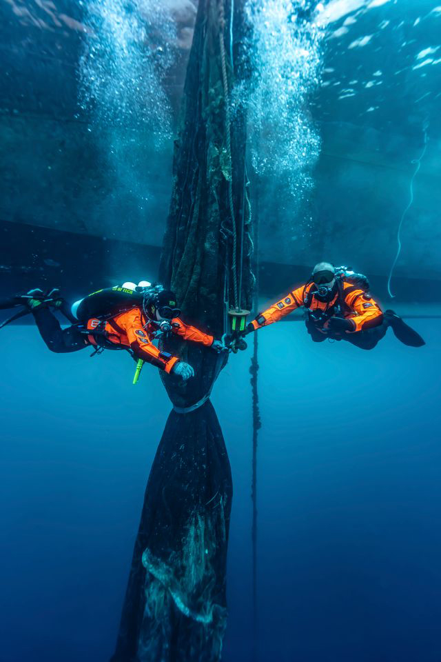 Rimozione di un allevamento ittico nel golfo si Saronico subacquei