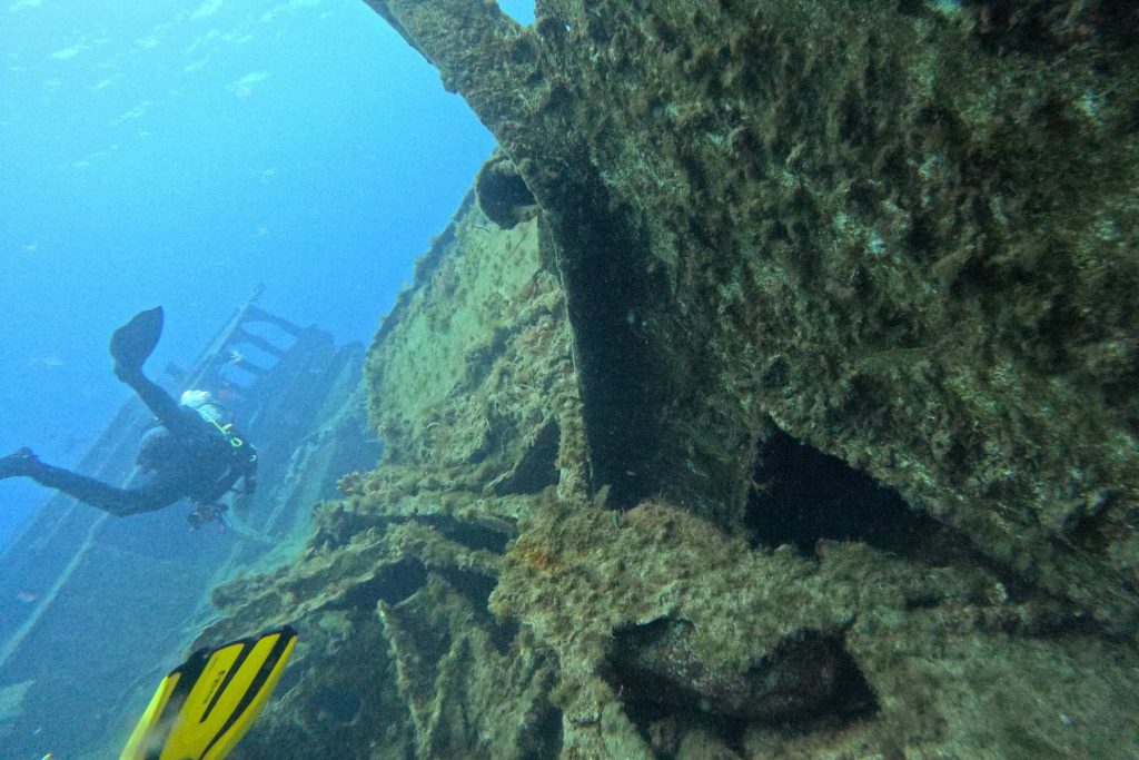 prime immersioni sub tenerife