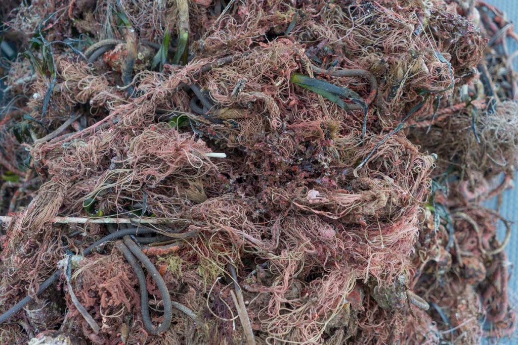 reti recuperate genova wwf carabinieri