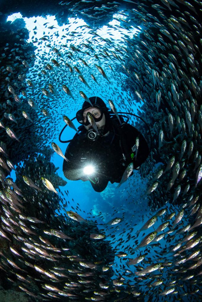 Pietro Cremone – Primo classificato, categoria Pesci e sub.