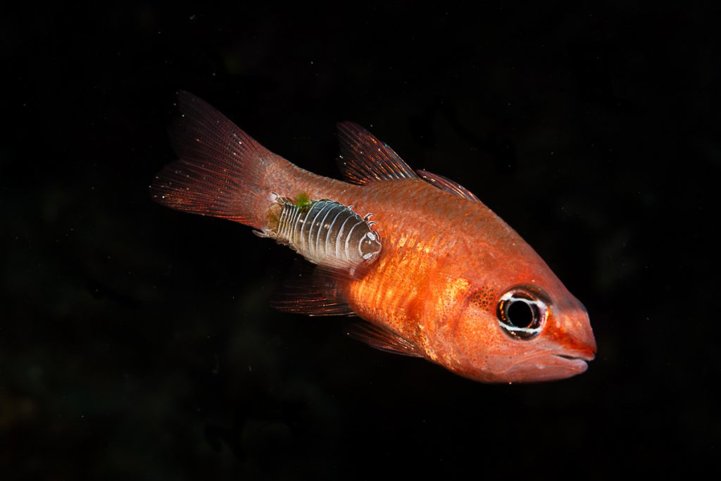 Lorenzo Terraneo – Terzo classificato, categoria Mediterraneo