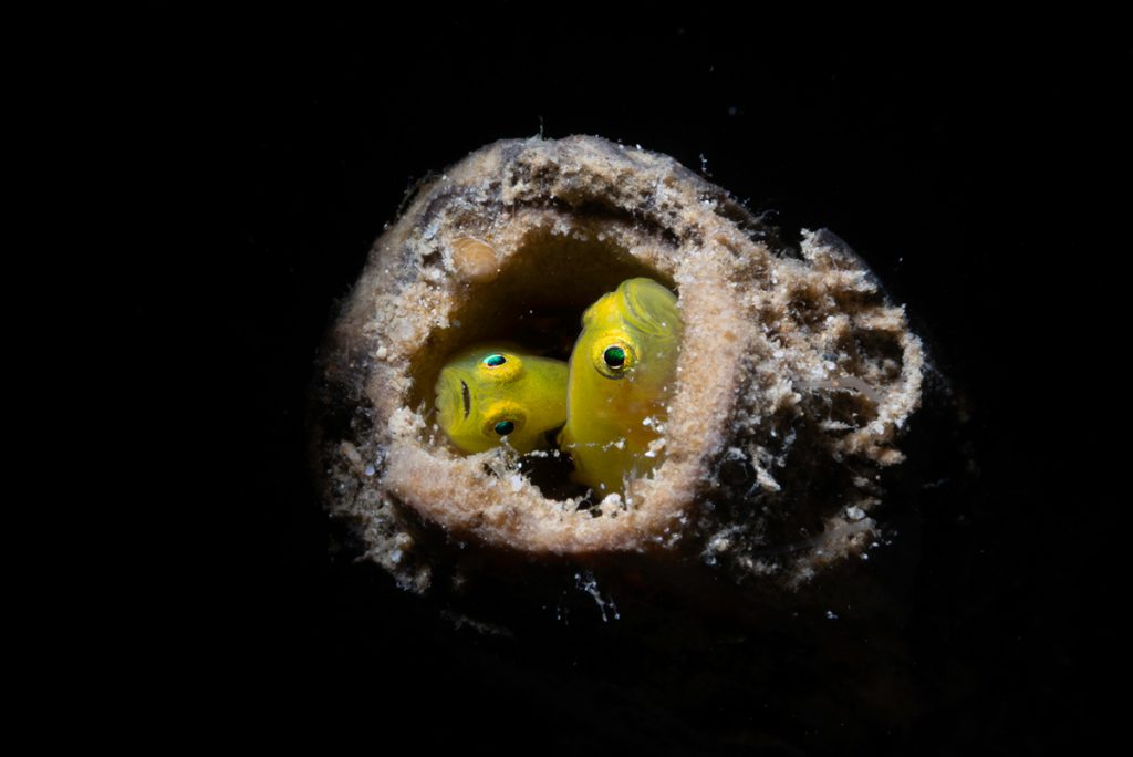 Laura Giavardi – Terzo classificato, categoria Sotto pressione