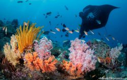 Raja-Ampat_Marcello_Di_Francesco-32-1024x683