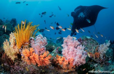 Raja-Ampat_Marcello_Di_Francesco-32-1024x683