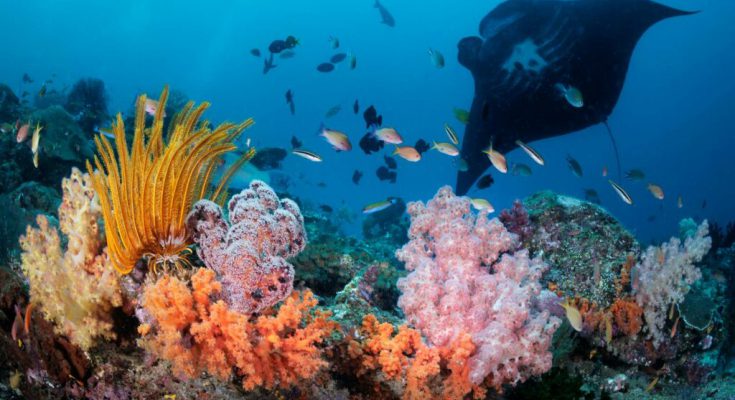 Raja-Ampat_Marcello_Di_Francesco-32-1024x683