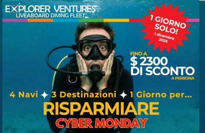 cyber monday nosytour