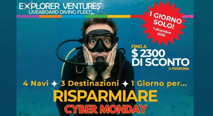 cyber monday nosytour