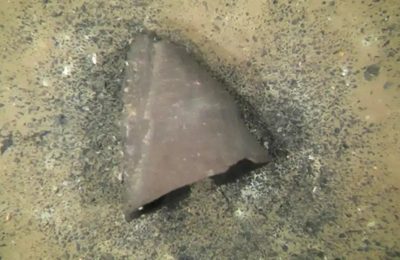 foto vaso intatto lago giappone