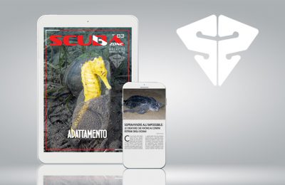 scubazone 83 magazine scubaportal subacquea