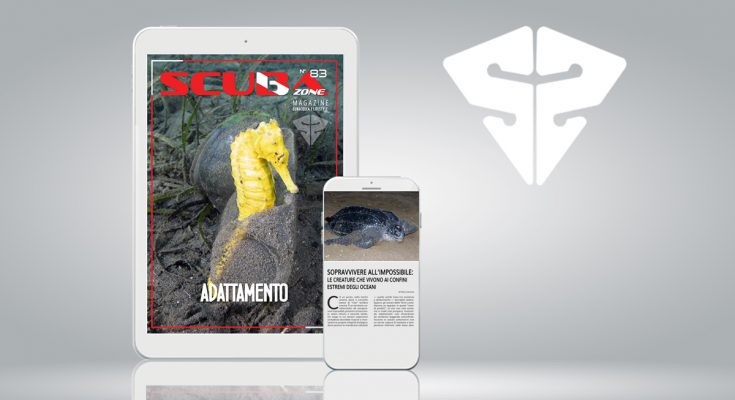 scubazone 83 magazine scubaportal subacquea