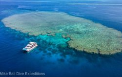 viaggio sub barriera australia