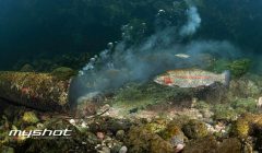 vincitori myshot 2025