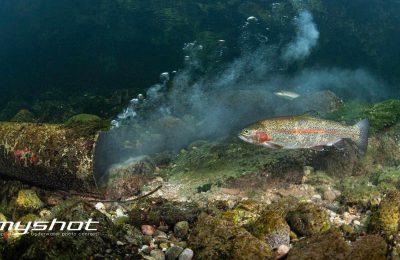 vincitori myshot 2025