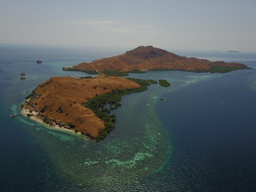 bali indonesia komodo subacquea