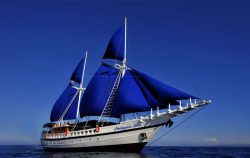 Crociera filippine marzo nosy