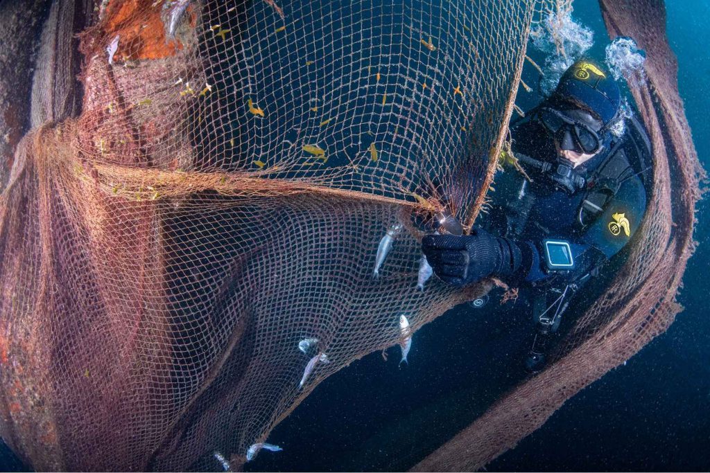 recuero reti fantasma app bycatch