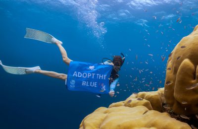 Padi Adopt the Blue