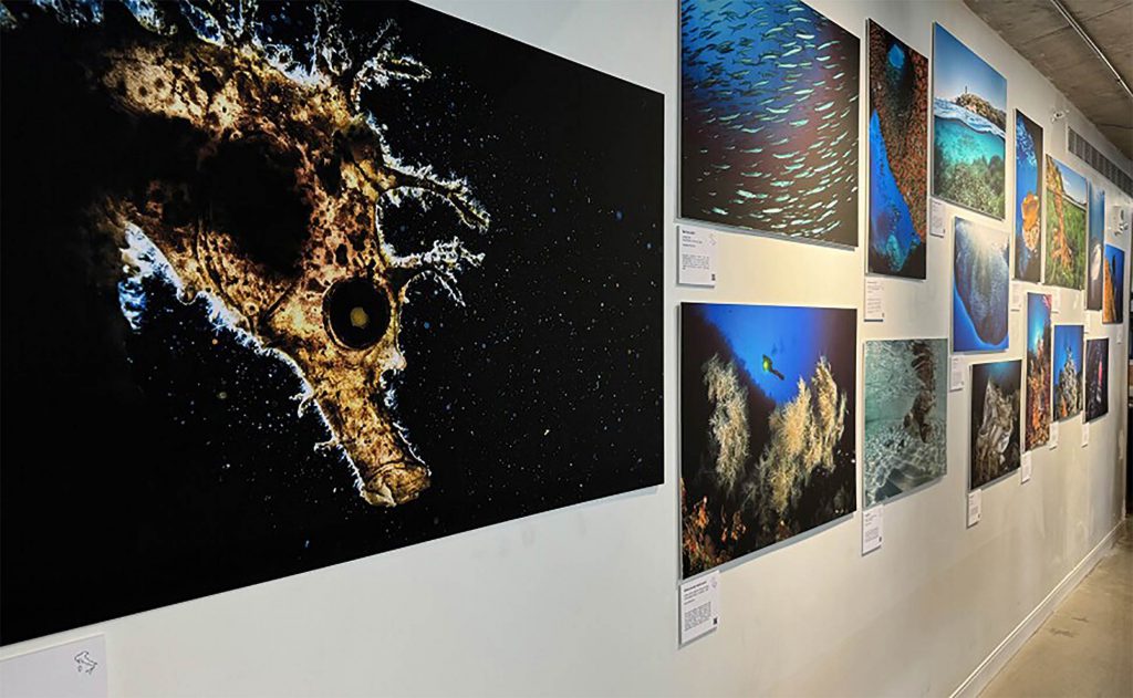 Mostra fotografica We are sea a bordo dell'Amerigo Vespucci