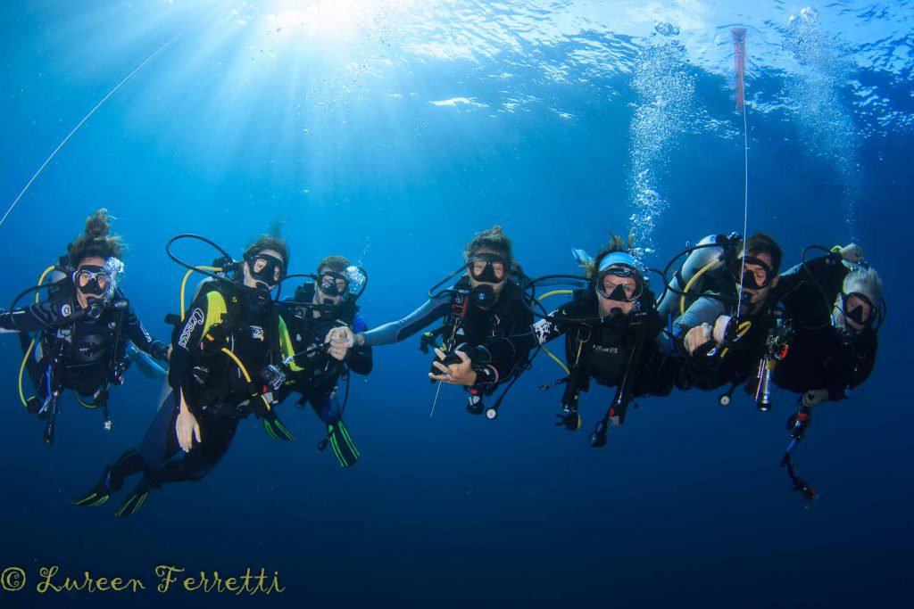 Subacquei maldive crociera sub @LaureenFerretti con albatros top boat