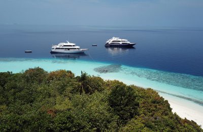 albatros top boat barche sub maldive