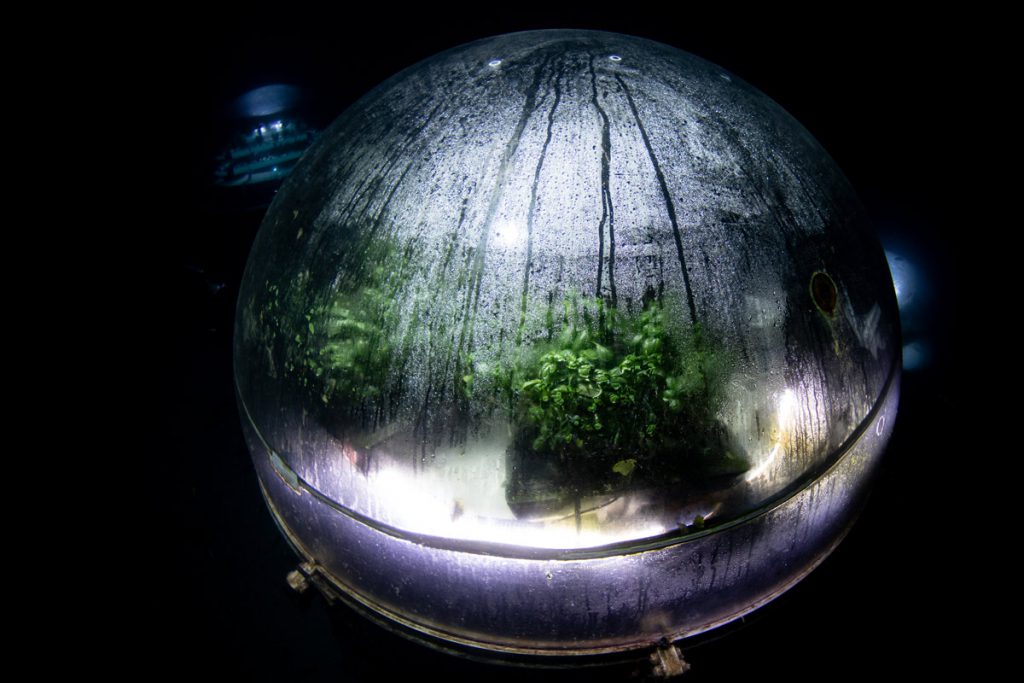 Biosfera del Giardino di Nemo illuminata di notte, con piante coltivate all’interno della serra subacquea sul fondale marino.