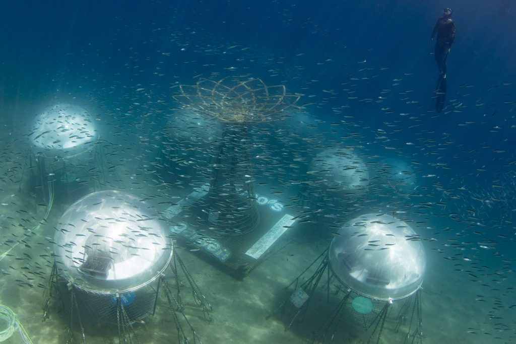 Vista panoramica del Giardino di Nemo con biosfere subacquee, banco di pesci e un apneista in assetto sopra le strutture sul fondale marino. 10 anni