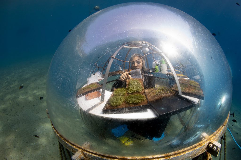 Ricercatrice all’interno di una biosfera del Giardino di Nemo mentre lavora sulla coltivazione di piante in una serra subacquea sul fondale marino.