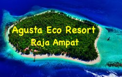 agusta eco resort testo