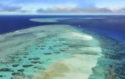 barriera corallina asutraliana subacquea