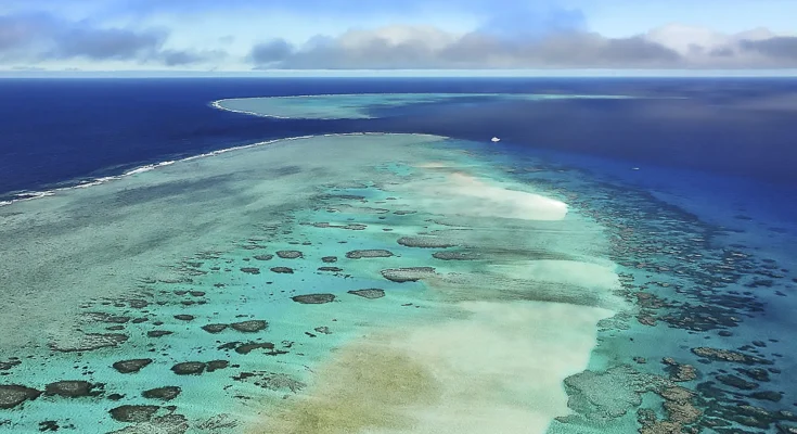 barriera corallina asutraliana subacquea
