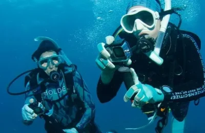 madre figlia barriera corallina australia