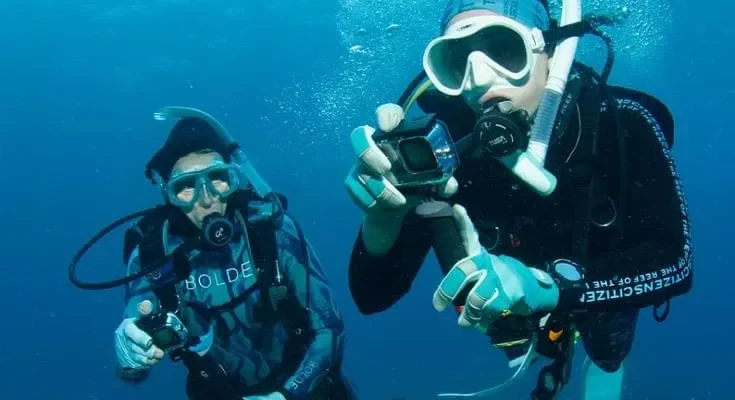 madre figlia barriera corallina australia