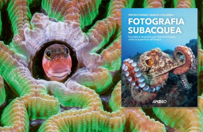 fotografia subacquea pietro formis libro