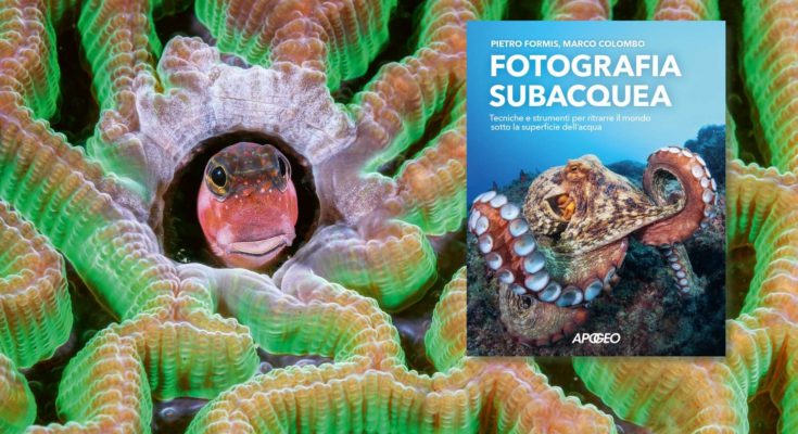 fotografia subacquea pietro formis libro